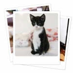 Polaroid - foto