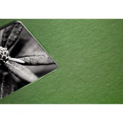 Album klasické spirálové FINE ART 28x24 cm, 50 stran, jablečná zeleň