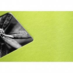 Album klasické FINE ART 30x30 cm, 100 stran, kiwi