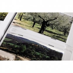Album memo PLUMULE 9x13/200, popisové štítky