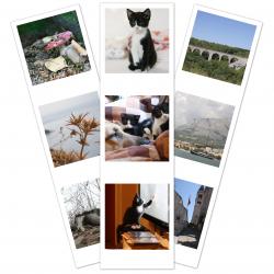 Polaroid STRIP
